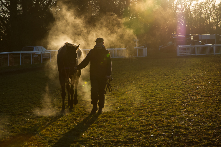 20141228-_mg_6564cottenham_point_to_point001.jpg