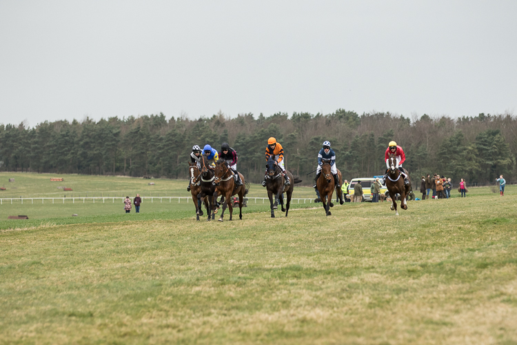 20150328-_k6a0139horseheath_point_to_point001.jpg