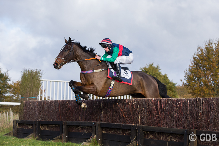 20211121-_g4a3080highampointtopoint001.jpg