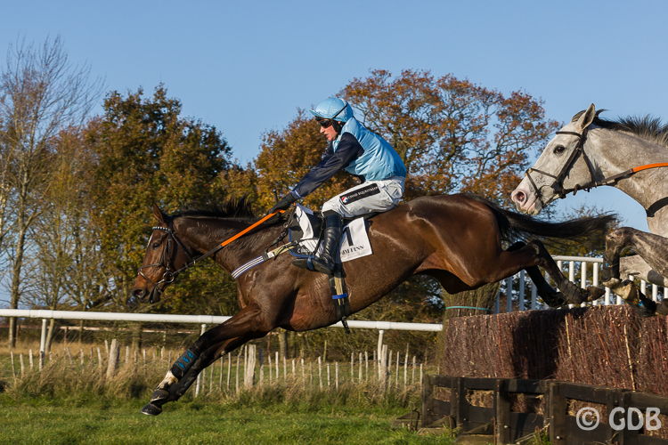 20211121-_g4a3123highampointtopoint002.jpg