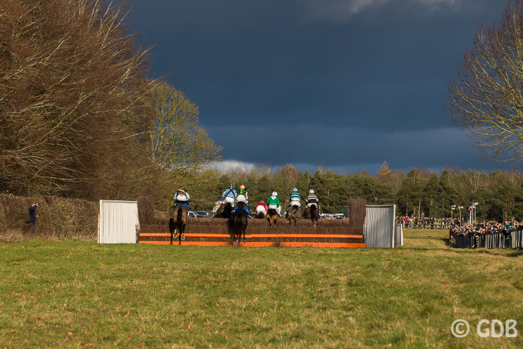 20220129-_g4a4108horseheathpointtopoint003.jpg