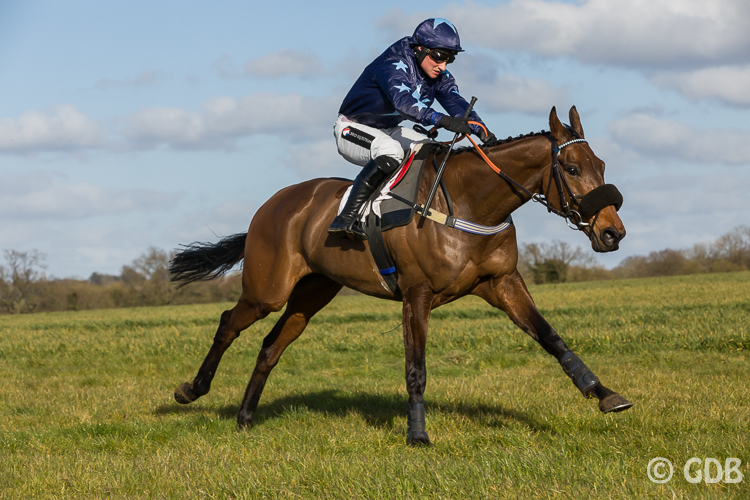 20220312-_g4a4820higheasterpointtopoint003.jpg