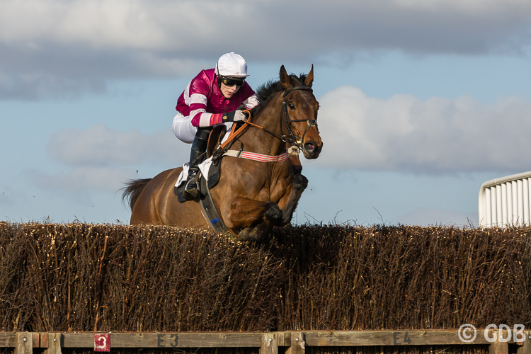 20220312-_g4a4838higheasterpointtopoint004.jpg