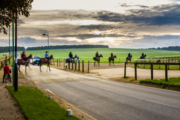 20161001-_k6a2633warrenhillnewmarket001.jpg